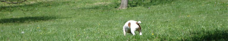 Gay Teen Videochat Online Website header image 2